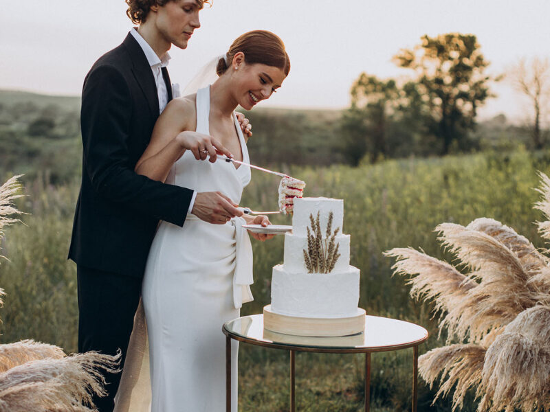Young couple cutting their wedding cake